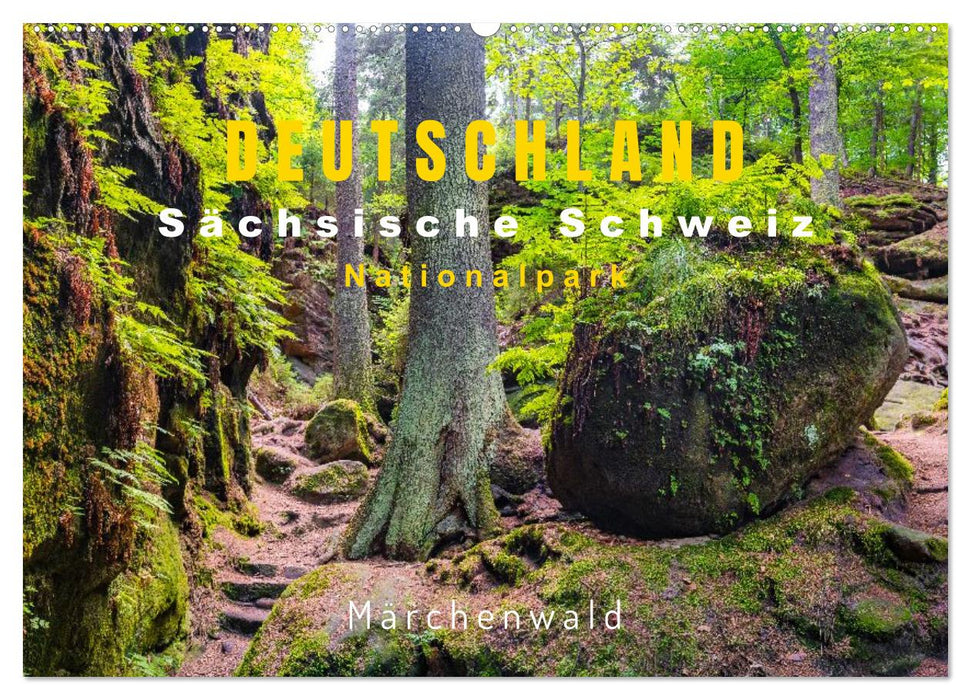 DEUTSCHLAND, Sächsische Schweiz Nationalpark, Märchenwald (CALVENDO Wandkalender 2026)