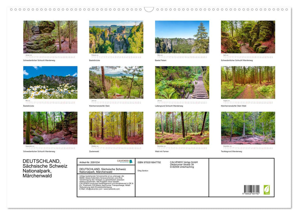 DEUTSCHLAND, Sächsische Schweiz Nationalpark, Märchenwald (CALVENDO Wandkalender 2026)