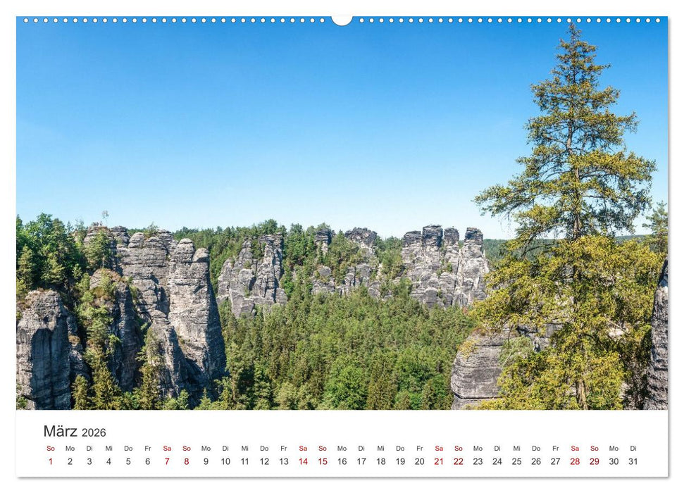 DEUTSCHLAND, Sächsische Schweiz Nationalpark, Märchenwald (CALVENDO Wandkalender 2026)
