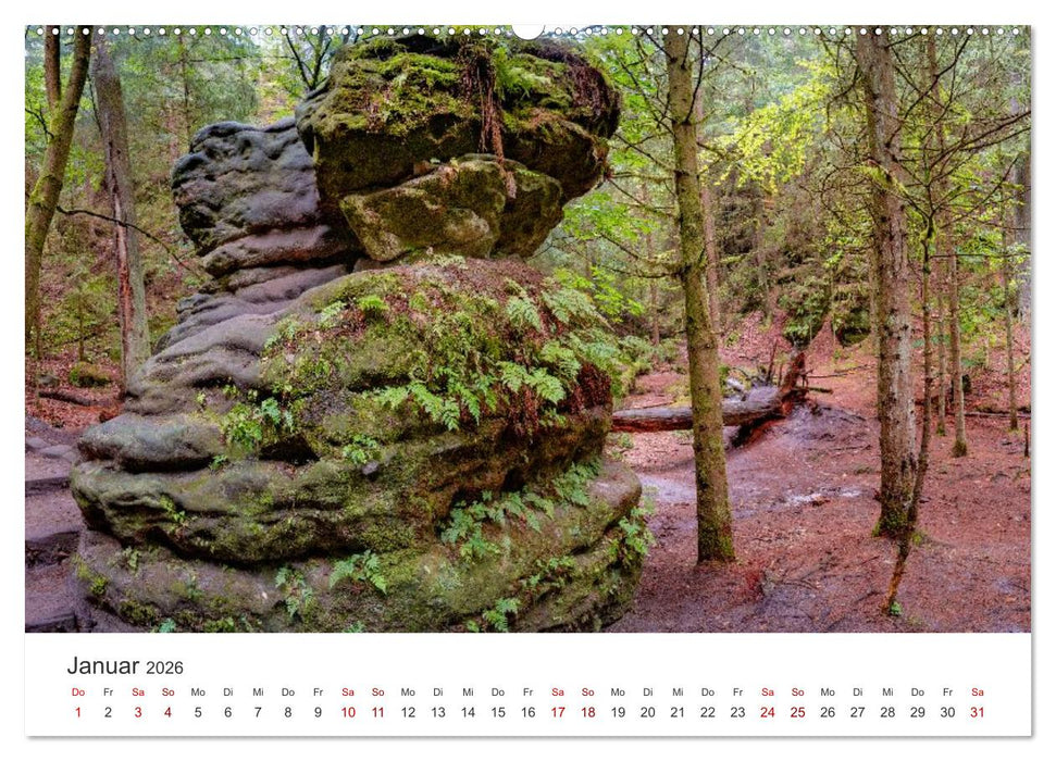 DEUTSCHLAND, Sächsische Schweiz Nationalpark, Märchenwald (CALVENDO Premium Wandkalender 2026)