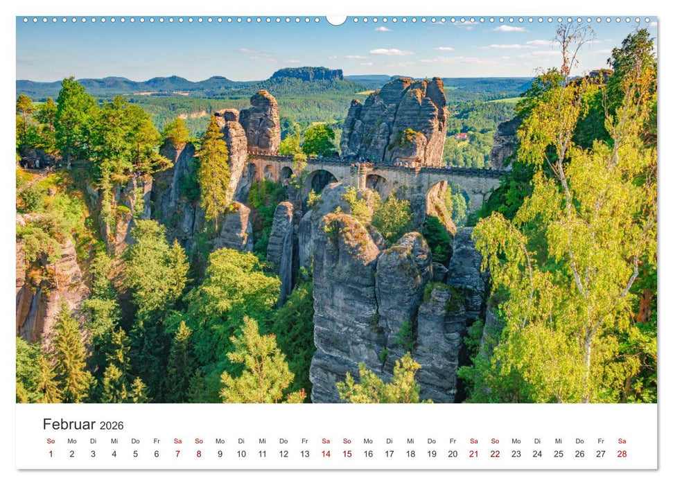 DEUTSCHLAND, Sächsische Schweiz Nationalpark, Märchenwald (CALVENDO Premium Wandkalender 2026)