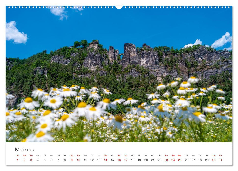 DEUTSCHLAND, Sächsische Schweiz Nationalpark, Märchenwald (CALVENDO Premium Wandkalender 2026)