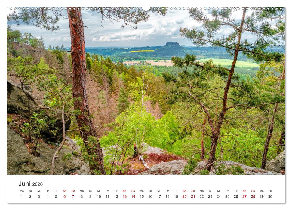 DEUTSCHLAND, Sächsische Schweiz Nationalpark, Märchenwald (CALVENDO Premium Wandkalender 2026)