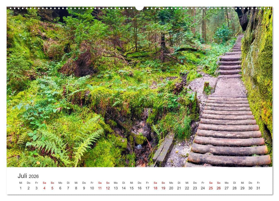 DEUTSCHLAND, Sächsische Schweiz Nationalpark, Märchenwald (CALVENDO Premium Wandkalender 2026)
