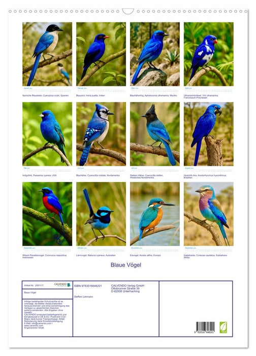 Blaue Vögel (CALVENDO Wandkalender 2026)