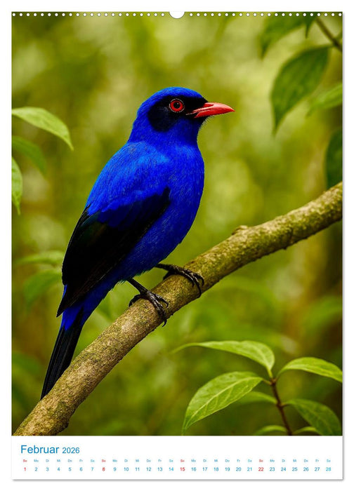 Blaue Vögel (CALVENDO Wandkalender 2026)