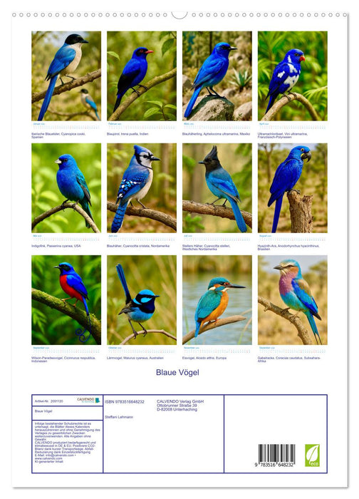 Blaue Vögel (CALVENDO Premium Wandkalender 2026)