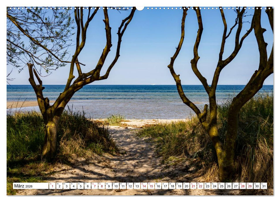 Ostseeinsel Poel - Küstenimpressionen (CALVENDO Wandkalender 2026)