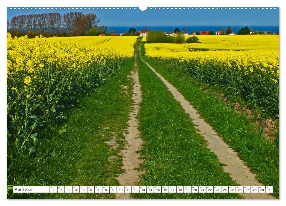 Ostseeinsel Poel - Küstenimpressionen (CALVENDO Wandkalender 2026)