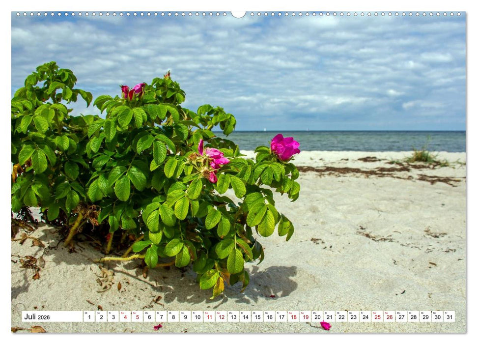 Ostseeinsel Poel - Küstenimpressionen (CALVENDO Premium Wandkalender 2026)