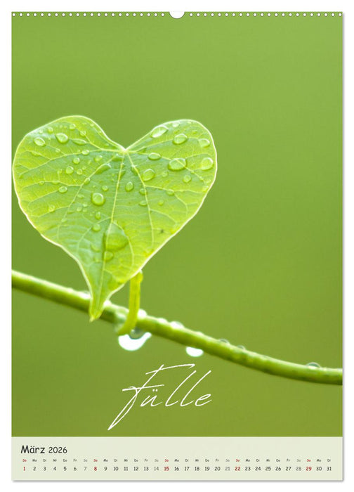 12 Worte für Liebe (CALVENDO Wandkalender 2026)