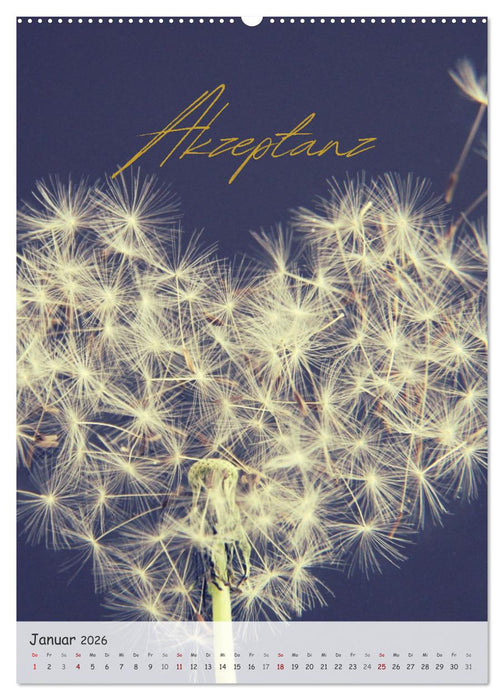 12 Worte für Liebe (CALVENDO Premium Wandkalender 2026)