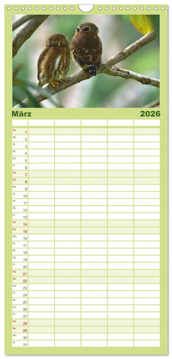 Costa Ricas gefiederte Pracht (CALVENDO Familienplaner 2026)