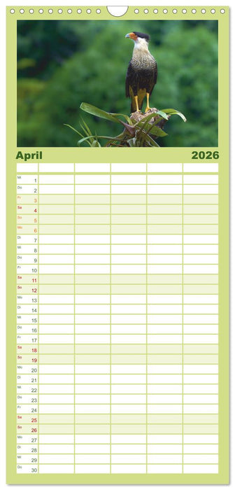 Costa Ricas gefiederte Pracht (CALVENDO Familienplaner 2026)