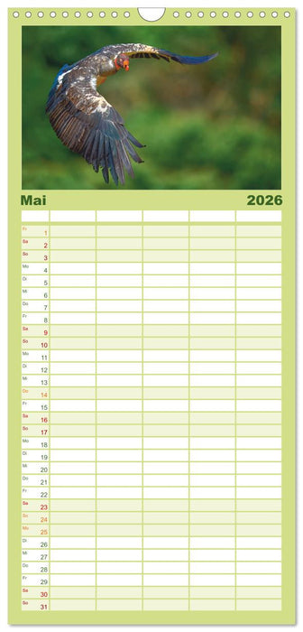 Costa Ricas gefiederte Pracht (CALVENDO Familienplaner 2026)