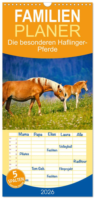 Die besonderen Haflinger-Pferde (CALVENDO Familienplaner 2026)