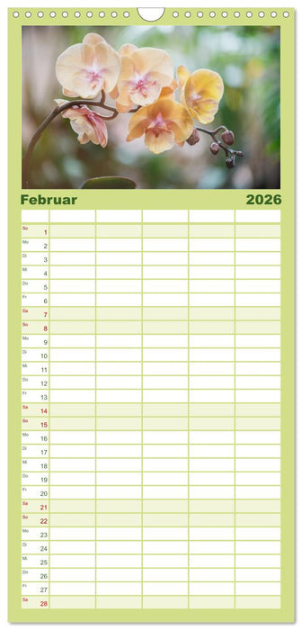 Im Schatten der Orchidee (CALVENDO Familienplaner 2026)