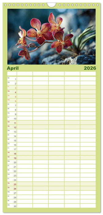 Im Schatten der Orchidee (CALVENDO Familienplaner 2026)