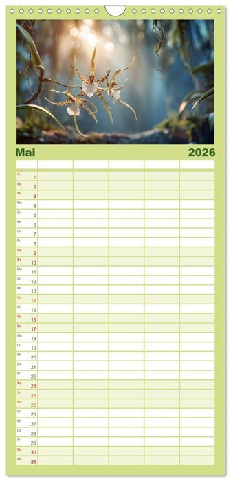 Im Schatten der Orchidee (CALVENDO Familienplaner 2026)