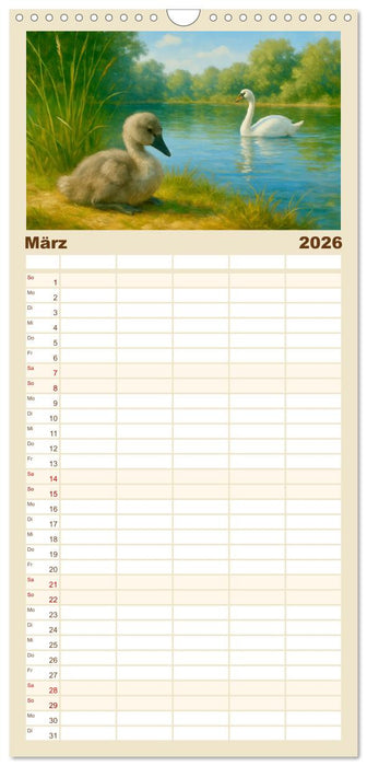 Hans Christian Andersen. Sein Leben, seine Werke (CALVENDO Familienplaner 2026)