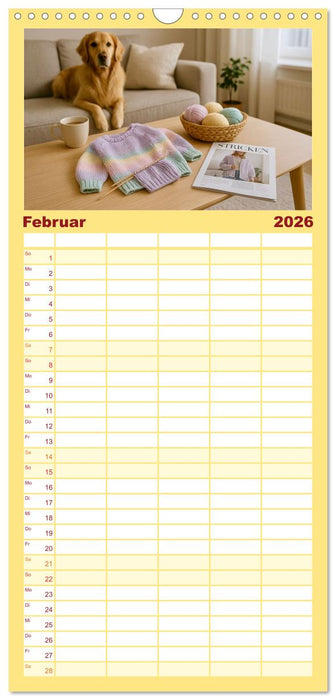 Stricken und Wolle (CALVENDO Familienplaner 2026)