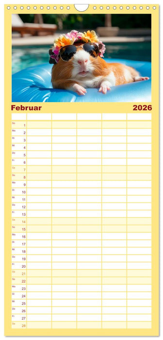 Meerschweinchen - Hauptsache Urlaub (CALVENDO Familienplaner 2026)