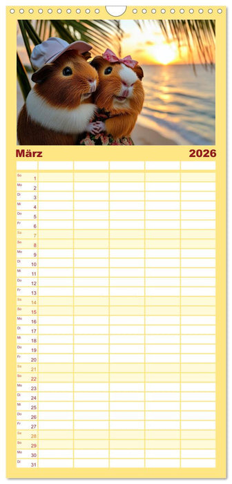 Meerschweinchen - Hauptsache Urlaub (CALVENDO Familienplaner 2026)