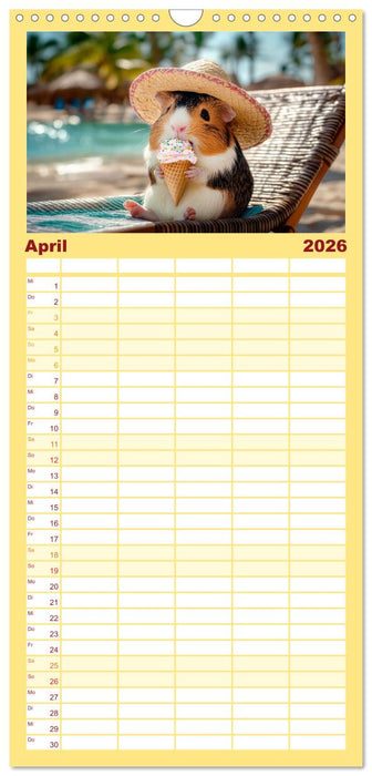 Meerschweinchen - Hauptsache Urlaub (CALVENDO Familienplaner 2026)
