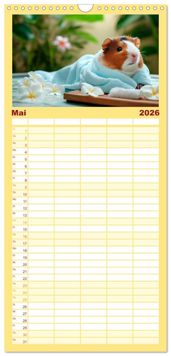 Meerschweinchen - Hauptsache Urlaub (CALVENDO Familienplaner 2026)