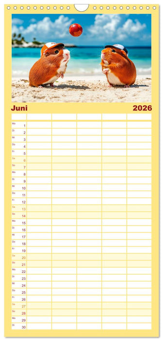 Meerschweinchen - Hauptsache Urlaub (CALVENDO Familienplaner 2026)