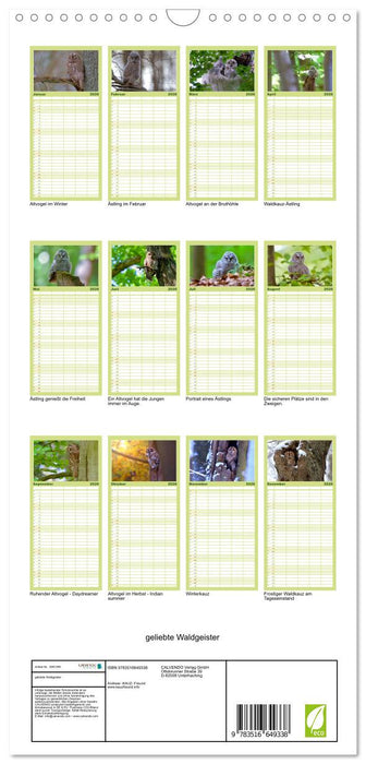 geliebte Waldgeister (CALVENDO Familienplaner 2026)