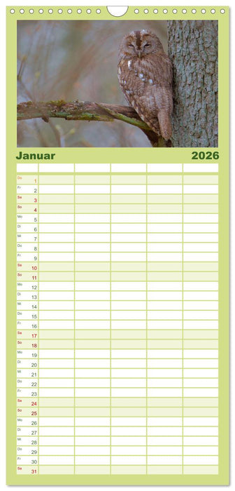 geliebte Waldgeister (CALVENDO Familienplaner 2026)