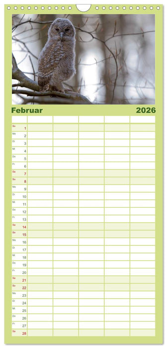 geliebte Waldgeister (CALVENDO Familienplaner 2026)