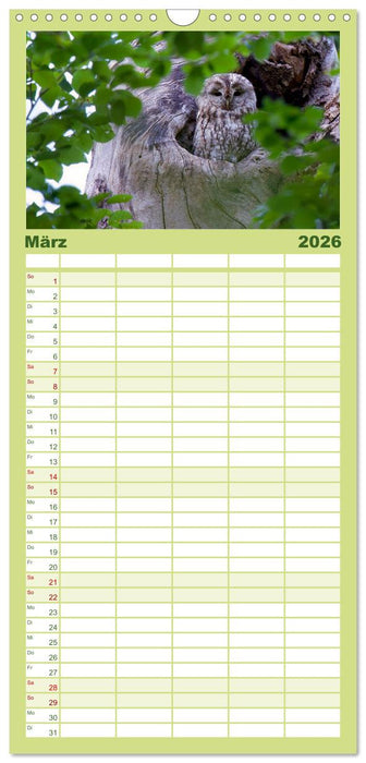 geliebte Waldgeister (CALVENDO Familienplaner 2026)