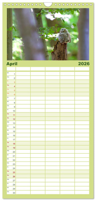 geliebte Waldgeister (CALVENDO Familienplaner 2026)