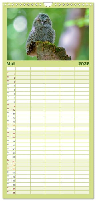 geliebte Waldgeister (CALVENDO Familienplaner 2026)