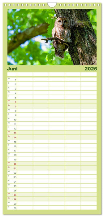 geliebte Waldgeister (CALVENDO Familienplaner 2026)
