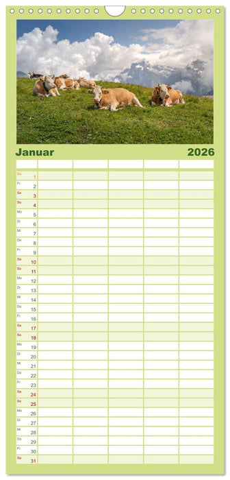 Schweiz - Die grüne Lunge Europas (CALVENDO Familienplaner 2026)