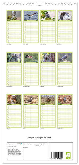 Europas Greifvögel und Eulen (CALVENDO Familienplaner 2026)