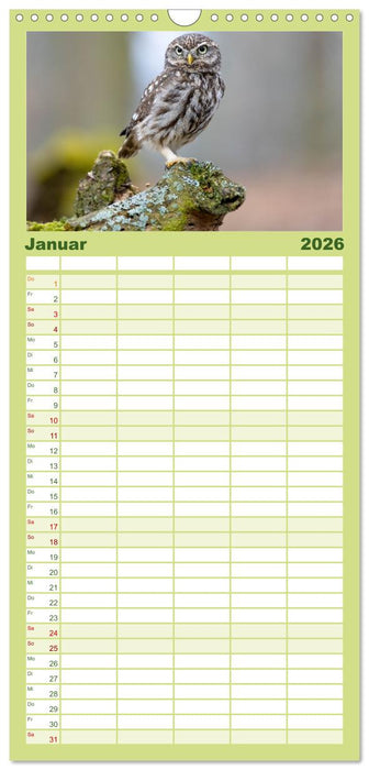 Europas Greifvögel und Eulen (CALVENDO Familienplaner 2026)