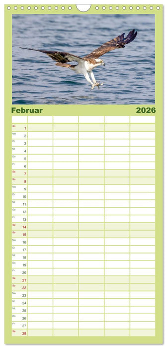 Europas Greifvögel und Eulen (CALVENDO Familienplaner 2026)