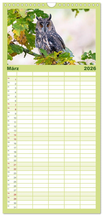 Europas Greifvögel und Eulen (CALVENDO Familienplaner 2026)