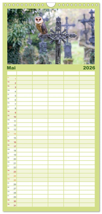 Europas Greifvögel und Eulen (CALVENDO Familienplaner 2026)