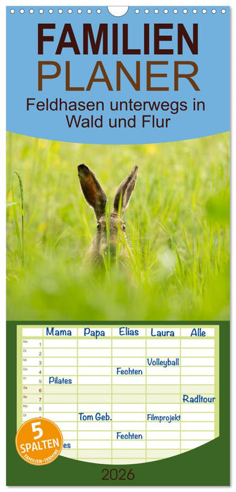 Feldhasen unterwegs in Wald und Flur (CALVENDO Familienplaner 2026)