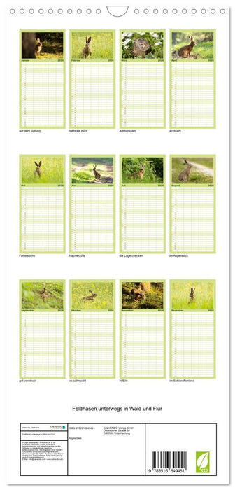 Feldhasen unterwegs in Wald und Flur (CALVENDO Familienplaner 2026)
