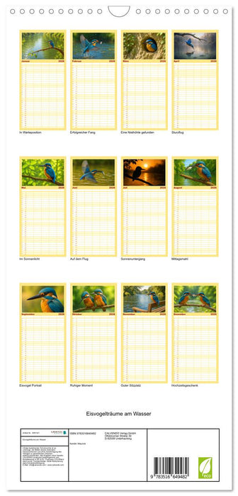 Eisvogelträume am Wasser (CALVENDO Familienplaner 2026)