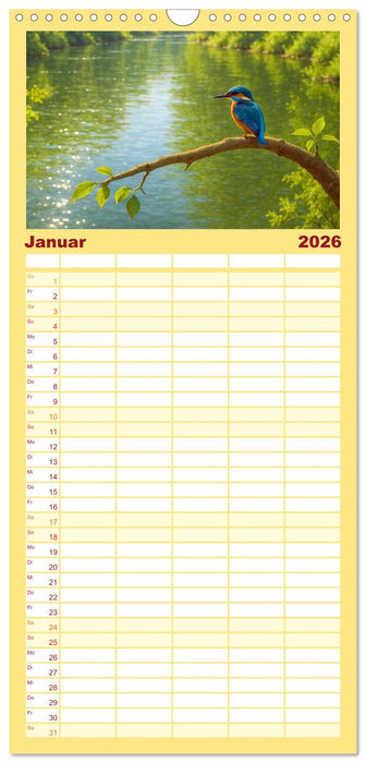 Eisvogelträume am Wasser (CALVENDO Familienplaner 2026)