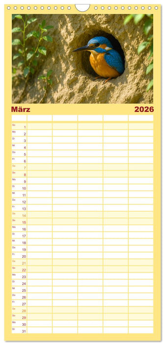 Eisvogelträume am Wasser (CALVENDO Familienplaner 2026)