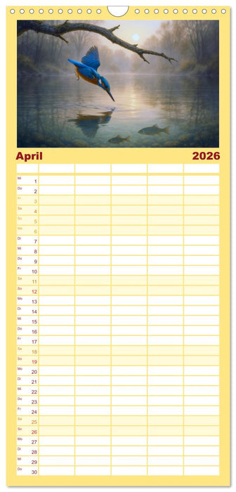 Eisvogelträume am Wasser (CALVENDO Familienplaner 2026)
