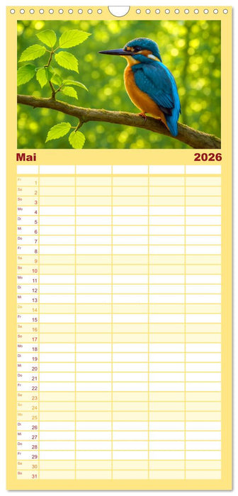 Eisvogelträume am Wasser (CALVENDO Familienplaner 2026)
